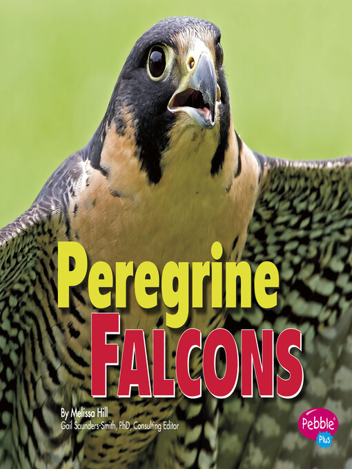 Title details for Peregrine Falcons by Gail Saunders-Smith - Available